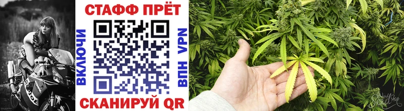 Наркотические вещества Светлогорск Альфа ПВП  Меф мяу мяу  Канабис 