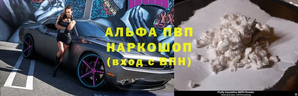 стаф Заволжье