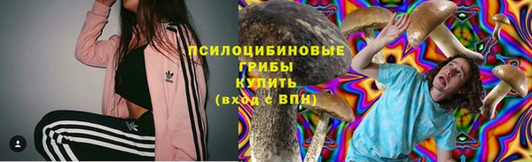 гашик Заволжск