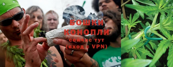 2c-b Тавда